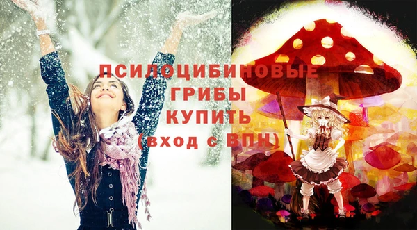 MDMA Premium VHQ Нязепетровск