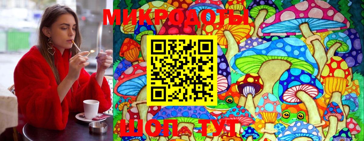 Галлюциногенные грибы мухоморы Когалым